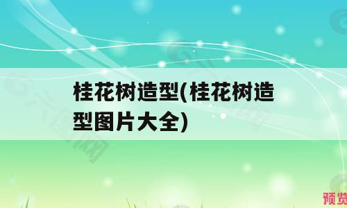 桂花树造型(桂花树造型图片大全)