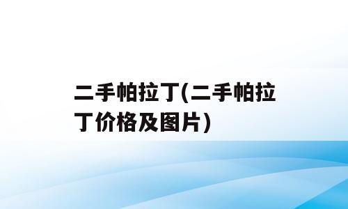二手帕拉丁(二手帕拉丁价格及图片)