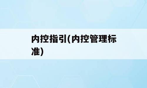 内控指引(内控管理标准)