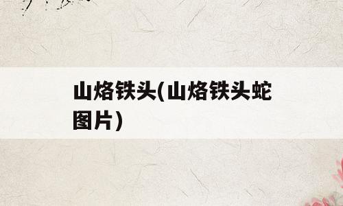 山烙铁头(山烙铁头蛇图片)