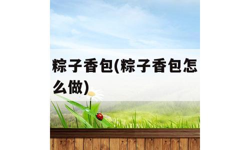 粽子香包(粽子香包怎么做)