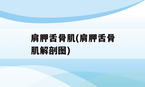 肩胛舌骨肌(肩胛舌骨肌解剖图)