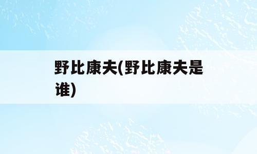 野比康夫(野比康夫是谁)