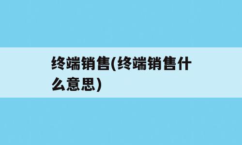 终端销售(终端销售什么意思)