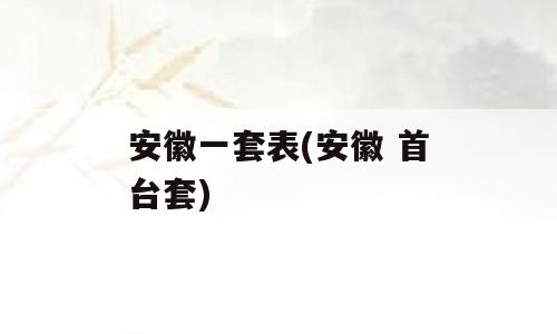 安徽一套表(安徽 首台套)