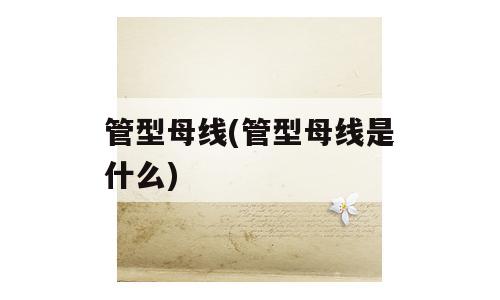 管型母线(管型母线是什么)