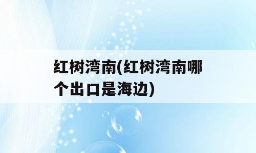 红树湾南(红树湾南哪个出口是海边)