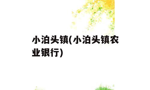 小泊头镇(小泊头镇农业银行)