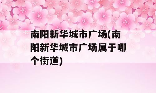 南阳新华城市广场(南阳新华城市广场属于哪个街道)