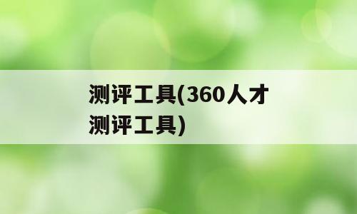 测评工具(360人才测评工具)