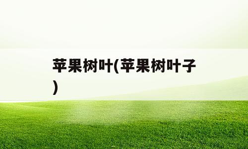 苹果树叶(苹果树叶子)