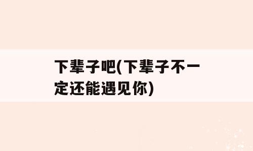 下辈子吧(下辈子不一定还能遇见你)