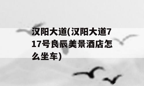 汉阳大道(汉阳大道717号良辰美景酒店怎么坐车)