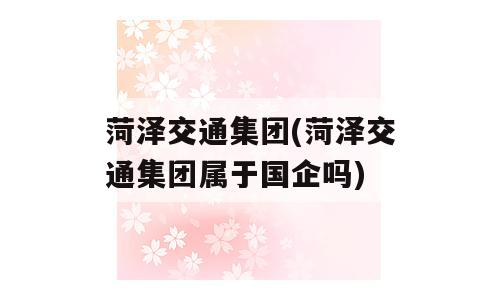菏泽交通集团(菏泽交通集团属于国企吗)