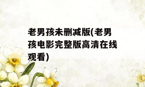 老男孩未删减版(老男孩电影完整版高清在线观看)