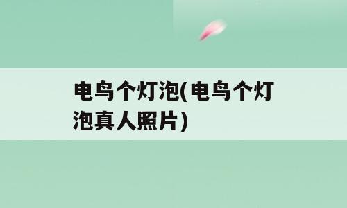 电鸟个灯泡(电鸟个灯泡真人照片)
