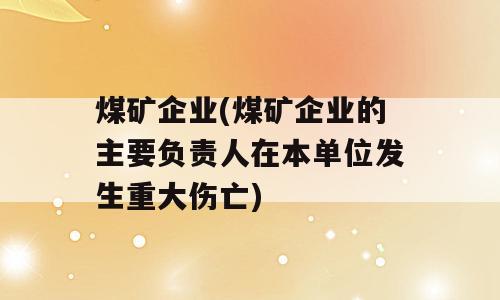 煤矿企业(煤矿企业的主要负责人在本单位发生重大伤亡)