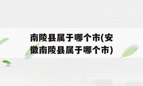 南陵县属于哪个市(安徽南陵县属于哪个市)