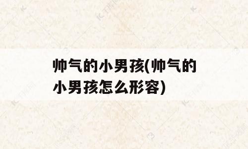 帅气的小男孩(帅气的小男孩怎么形容)
