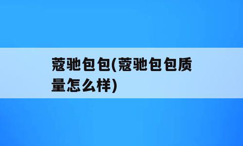 蔻驰包包(蔻驰包包质量怎么样)