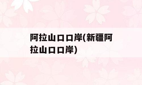 阿拉山口口岸(新疆阿拉山口口岸)