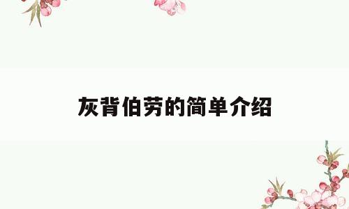 灰背伯劳的简单介绍