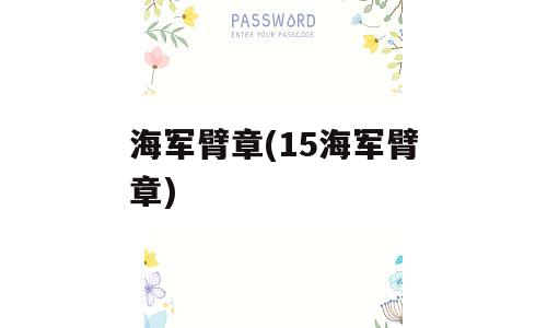 海军臂章(15海军臂章)