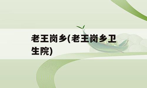 老王岗乡(老王岗乡卫生院)