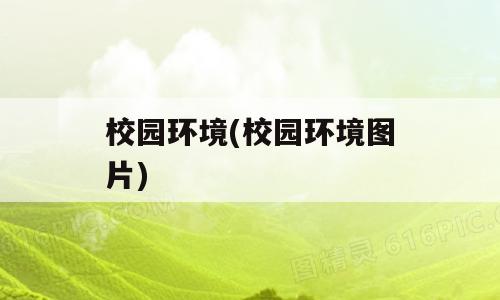 校园环境(校园环境图片)