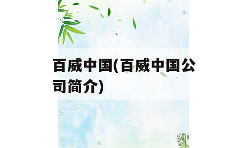 百威中国(百威中国公司简介)