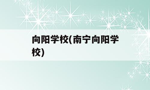 向阳学校(南宁向阳学校)