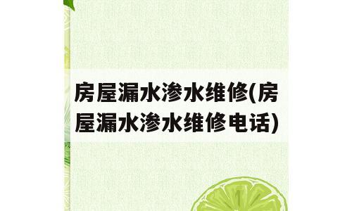 房屋漏水渗水维修(房屋漏水渗水维修电话)