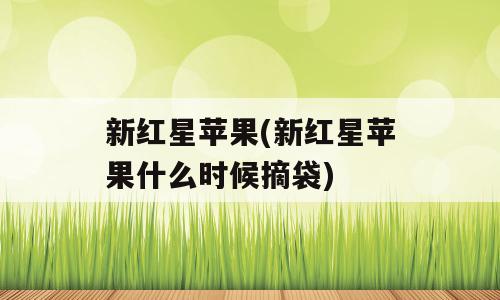 新红星苹果(新红星苹果什么时候摘袋)