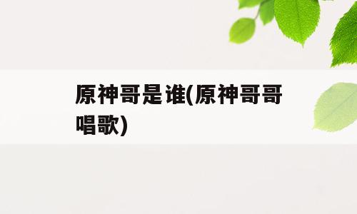 原神哥是谁(原神哥哥唱歌)