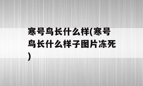 寒号鸟长什么样(寒号鸟长什么样子图片冻死)