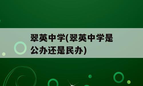 翠英中学(翠英中学是公办还是民办)