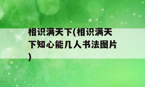 相识满天下(相识满天下知心能几人书法图片)