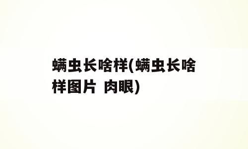 螨虫长啥样(螨虫长啥样图片 肉眼)