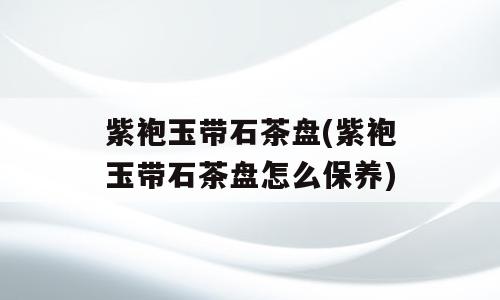 紫袍玉带石茶盘(紫袍玉带石茶盘怎么保养)