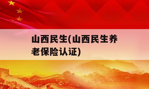 山西民生(山西民生养老保险认证)