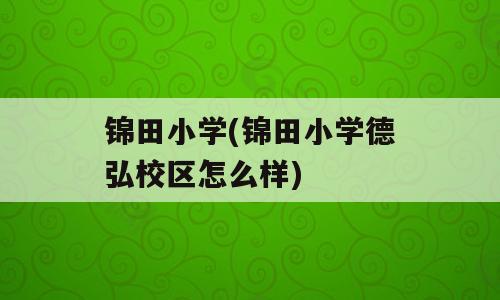 锦田小学(锦田小学德弘校区怎么样)