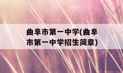曲阜市第一中学(曲阜市第一中学招生简章)
