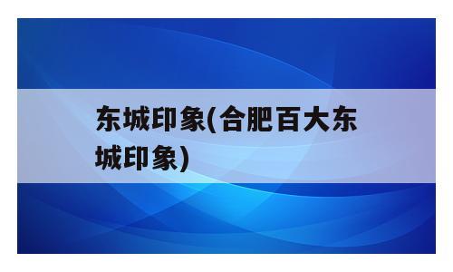 东城印象(合肥百大东城印象)