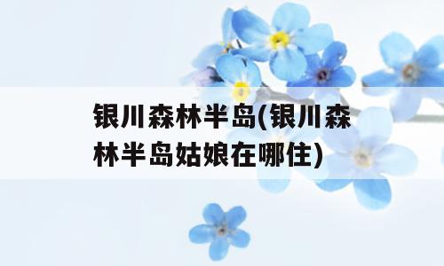 银川森林半岛(银川森林半岛姑娘在哪住)