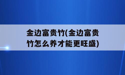 金边富贵竹(金边富贵竹怎么养才能更旺盛)