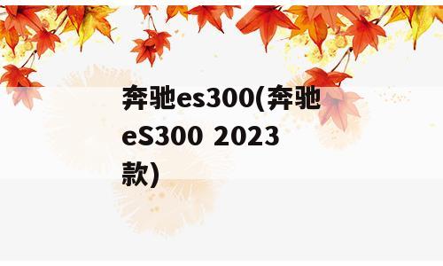 奔驰es300(奔驰eS300 2023款)