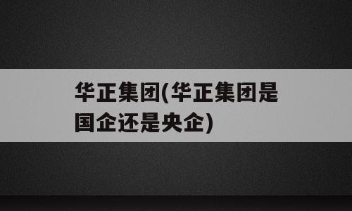 华正集团(华正集团是国企还是央企)