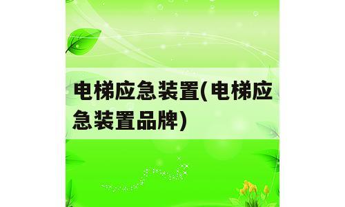 电梯应急装置(电梯应急装置品牌)