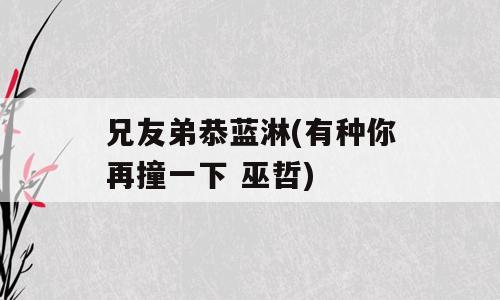 兄友弟恭蓝淋(有种你再撞一下 巫哲)