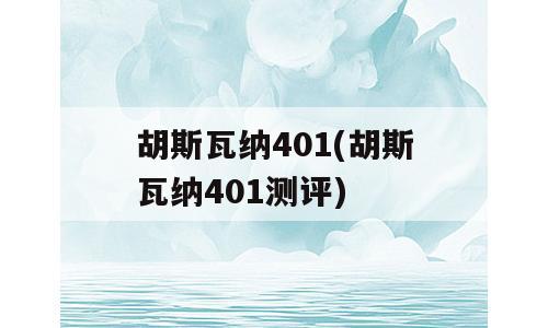 胡斯瓦纳401(胡斯瓦纳401测评)